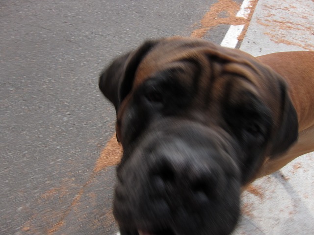 e0192217_12552495.jpg