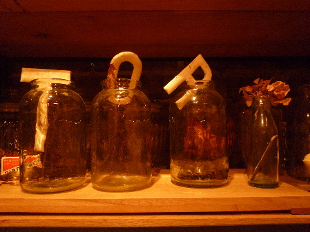 c0223422_663048.jpg