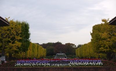 a0146431_17322396.jpg