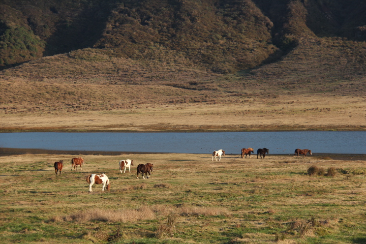 c0153740_1719364.jpg