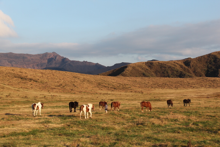 c0153740_1737870.jpg