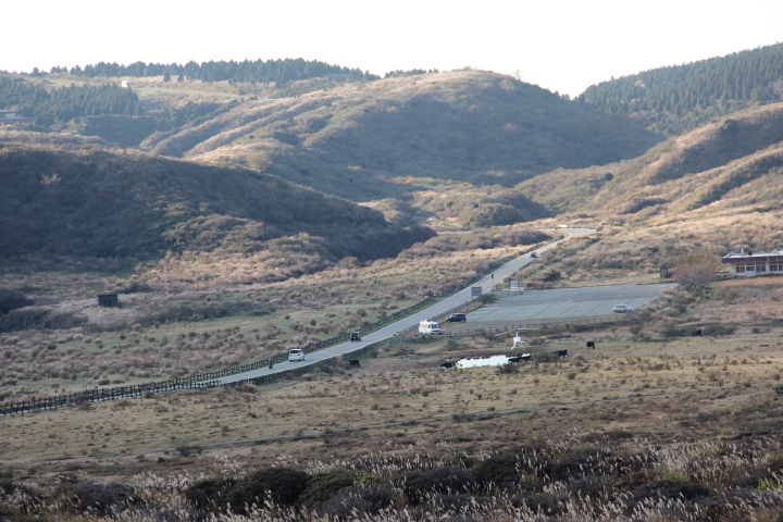 c0153740_1772524.jpg