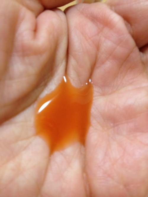 c0157540_1663893.jpg