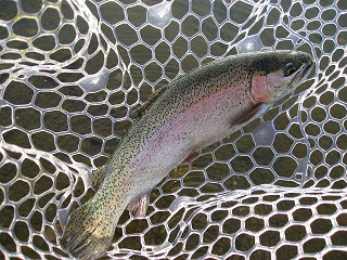 f0065341_14114782.jpg