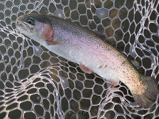 f0065341_14144826.jpg
