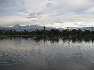f0065341_1442475.jpg