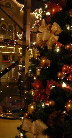 c0225143_014636.jpg