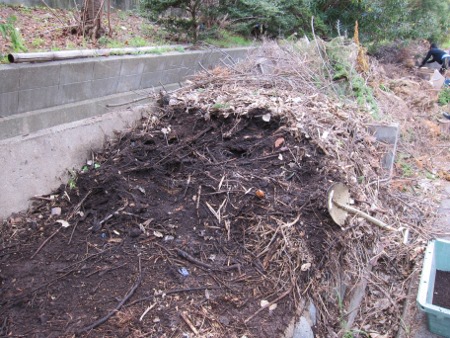 e0020945_92066.jpg