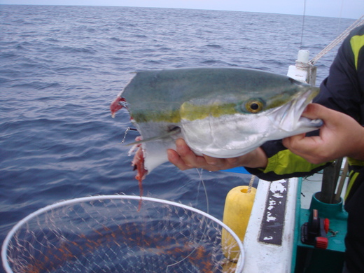 b0236647_1136410.jpg