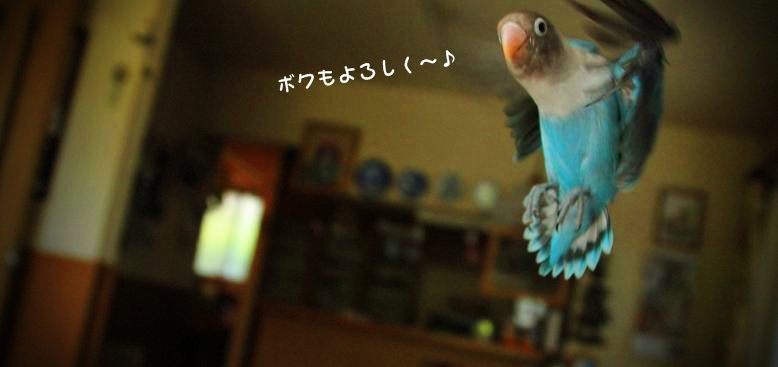 c0145250_12291284.jpg