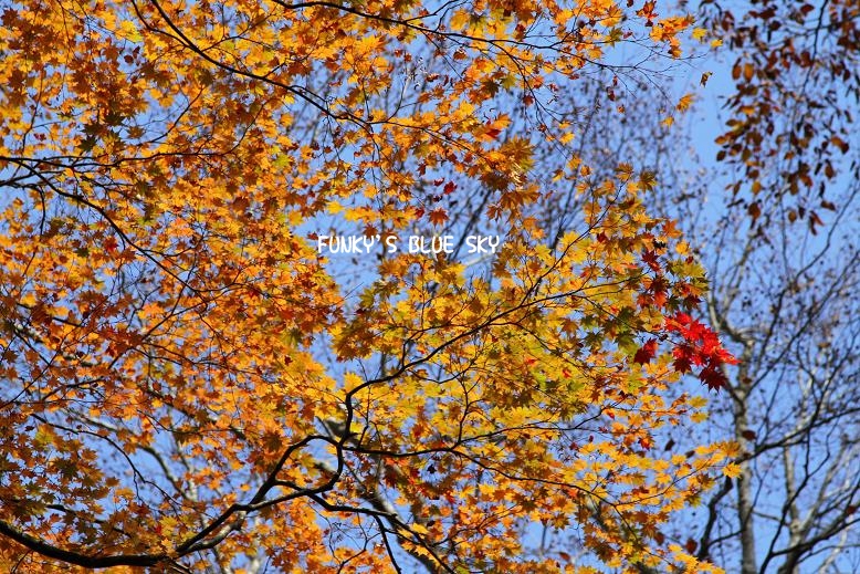 c0145250_1265094.jpg