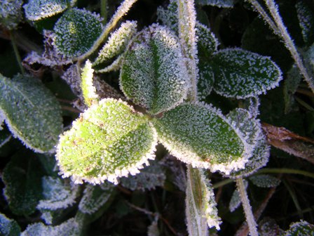 b0086858_8324147.jpg