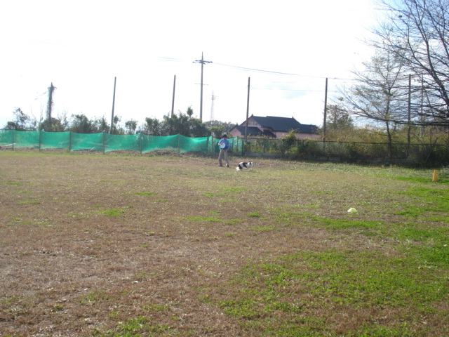 e0169262_951328.jpg