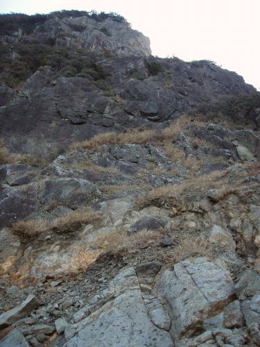 b0050067_4581728.jpg