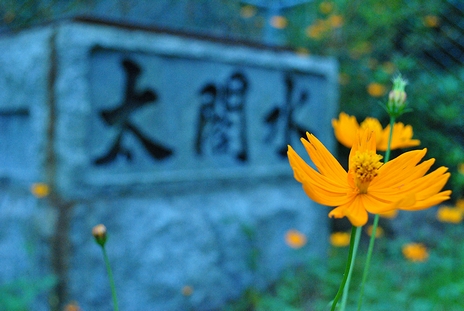 c0099967_1049392.jpg