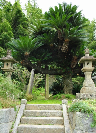 c0099967_94533100.jpg