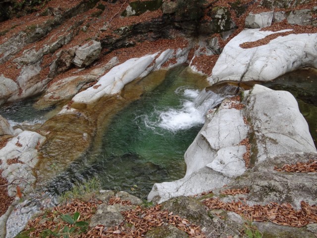 d0134473_17443564.jpg