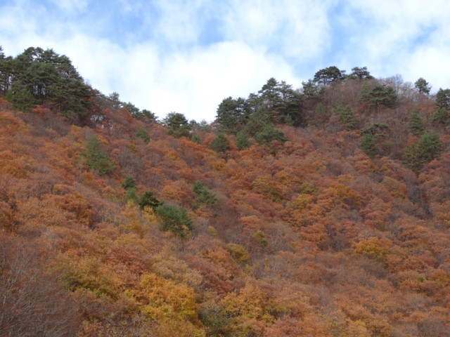 d0134473_1744669.jpg