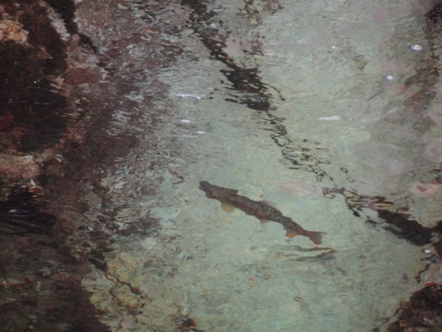 d0134473_17481237.jpg