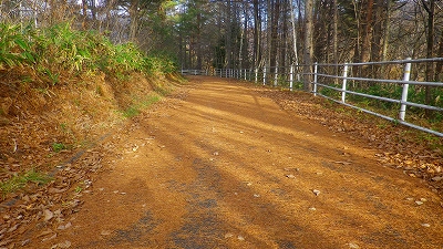 f0182173_17311527.jpg