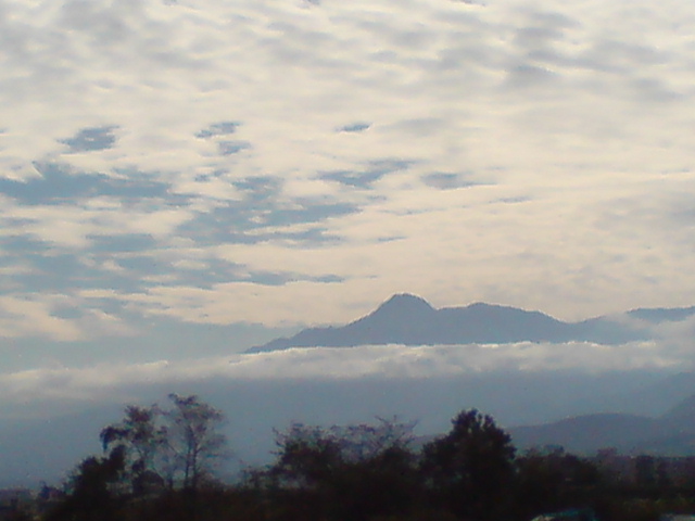 d0182179_16382219.jpg