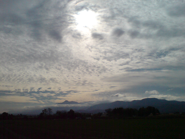 d0182179_16391472.jpg