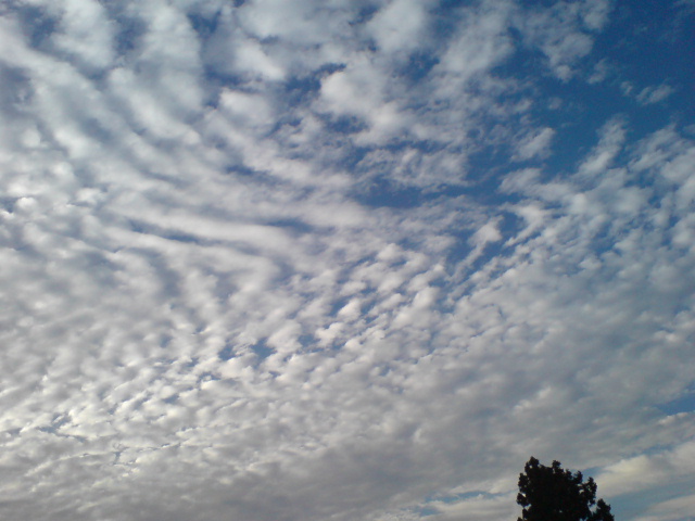 d0182179_16401221.jpg