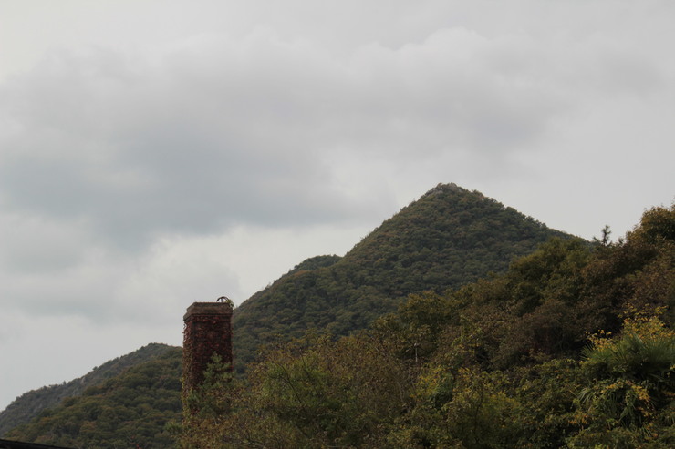 e0024081_20242822.jpg