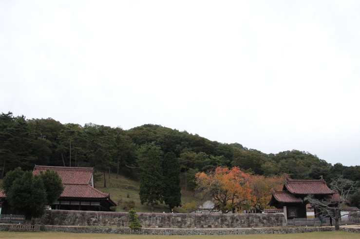 e0024081_2030284.jpg
