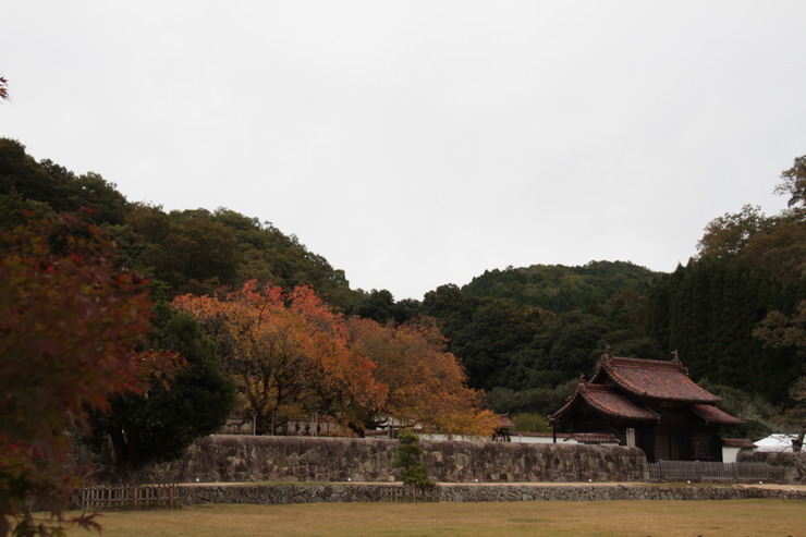 e0024081_20312237.jpg