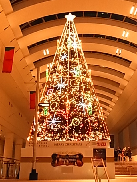 c0122788_2445967.jpg