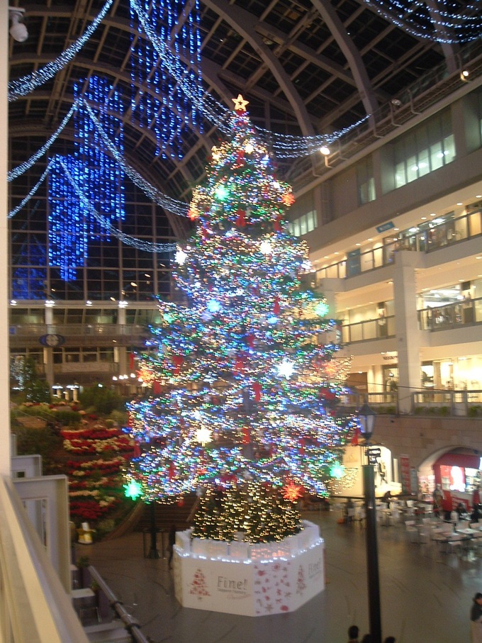 d0201194_1884440.jpg
