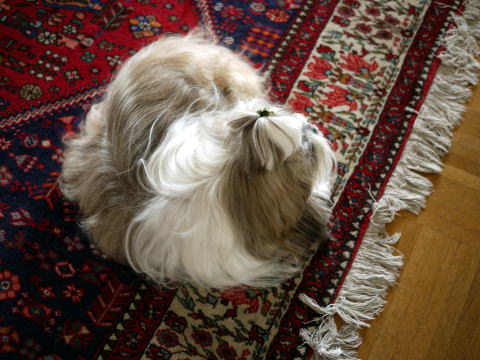 c0090198_7304937.jpg