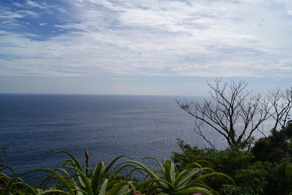 d0164100_0405151.jpg