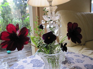 c0152002_826051.jpg