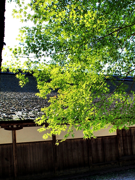 c0228404_415523.jpg