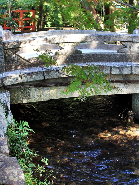 c0228404_432821.jpg