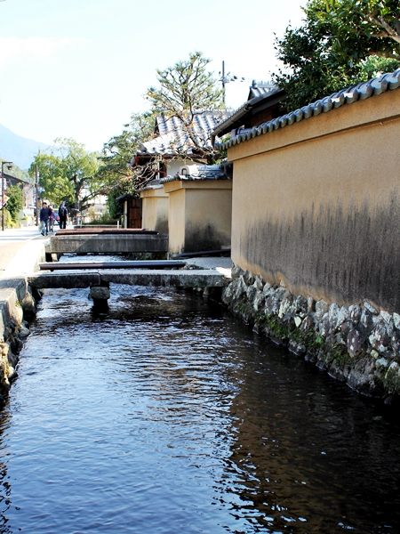 c0228404_461459.jpg