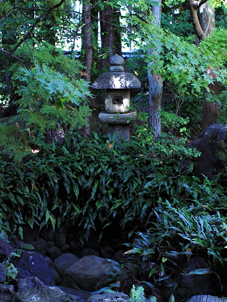 c0228404_483033.jpg