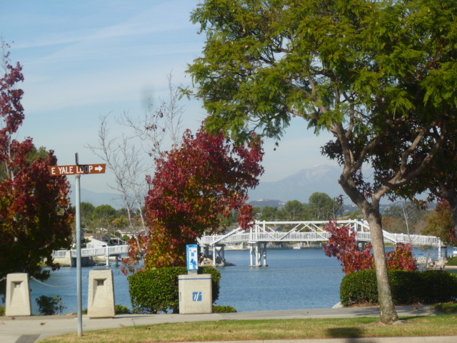 a0144811_7493276.jpg