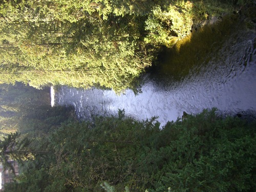 e0167411_86246.jpg