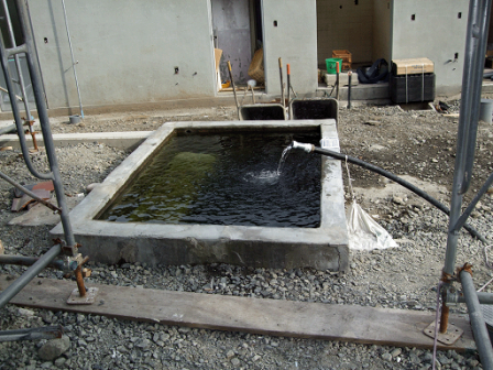 b0151316_145373.png