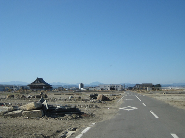 a0030217_4553543.jpg