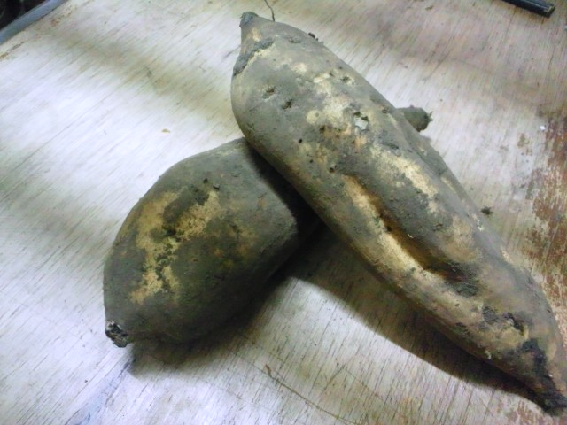 e0139318_1404148.jpg