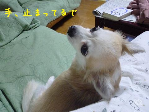 b0138430_20244937.jpg