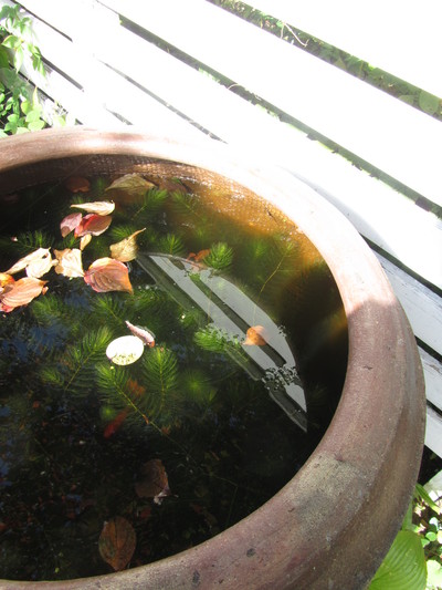 c0203430_11403984.jpg