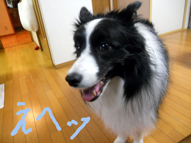 d0059230_8251168.jpg
