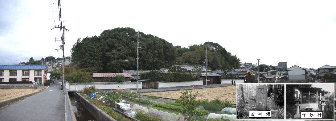a0016431_125542100.jpg