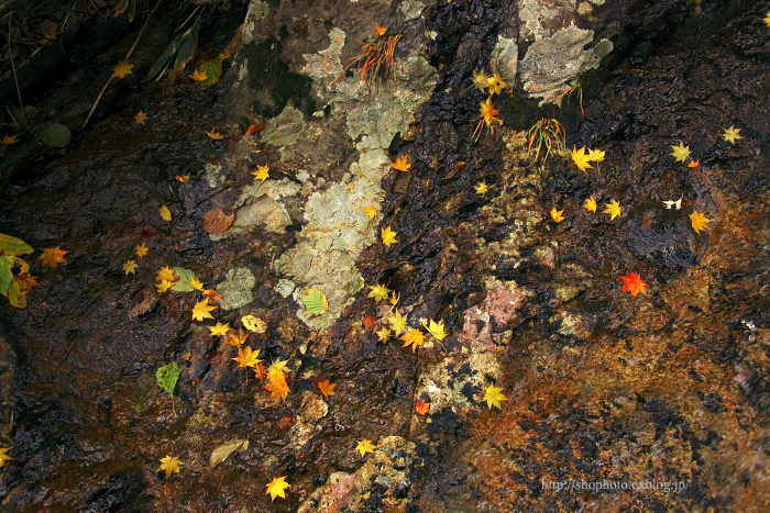 c0189533_7293122.jpg
