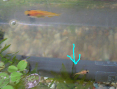 e0097534_1650939.jpg